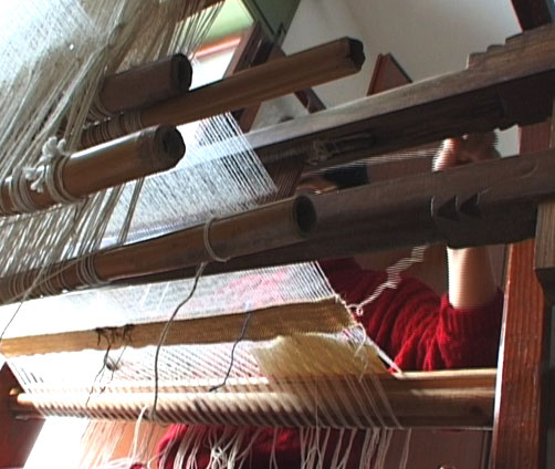 image motif phénicien